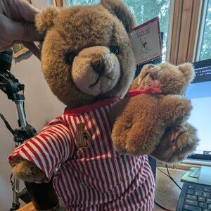 Vintage Gordon Fraser Schmidt Musical Bear Plushie